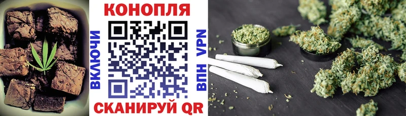 Cannafood конопля  Купить где  Грязи 