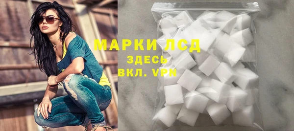 сатива Инта