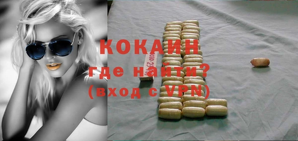 сатива Инта
