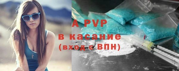 сатива Инта
