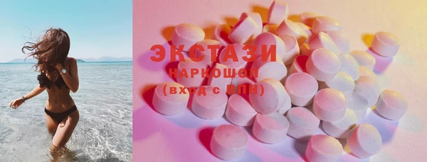 сатива Инта