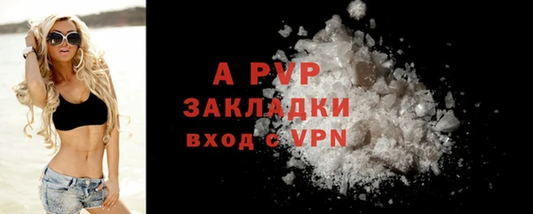 сатива Инта