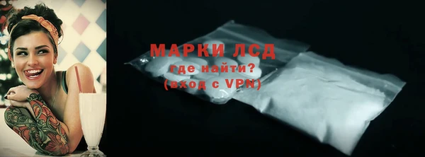 сатива Инта