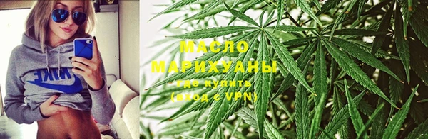 сатива Инта
