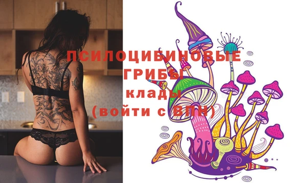не бодяженный Иннополис