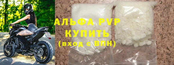 сатива Инта